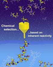 Clues to the Selection of Positively Charged Amino Acids in Extant Proteins