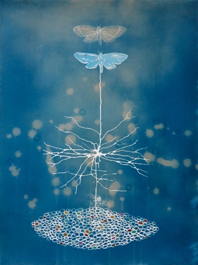 Terri Dilling